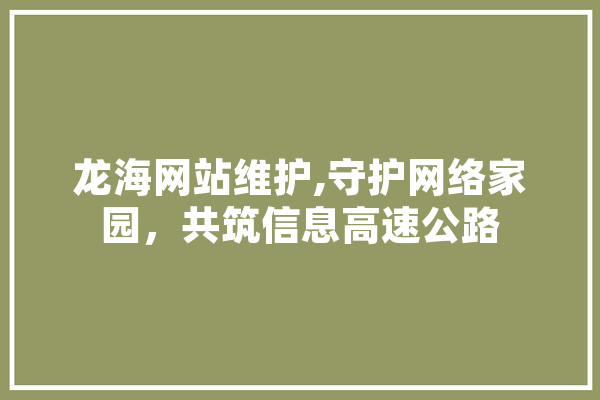 龙海网站维护,守护网络家园，共筑信息高速公路