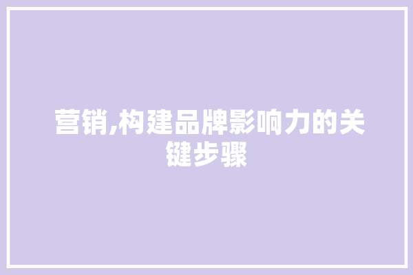  营销,构建品牌影响力的关键步骤