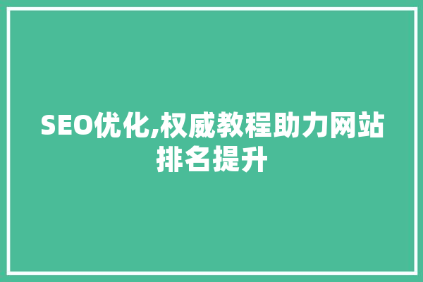 SEO优化,权威教程助力网站排名提升 计算机