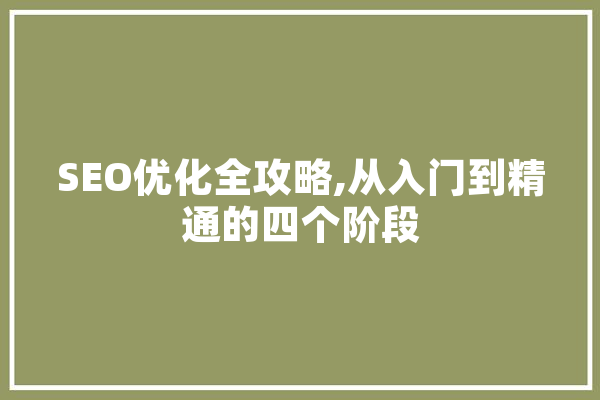 SEO优化全攻略,从入门到精通的四个阶段 计算机