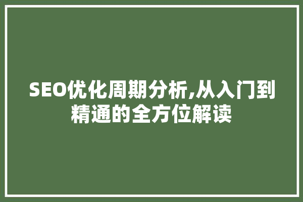 SEO优化周期分析,从入门到精通的全方位解读