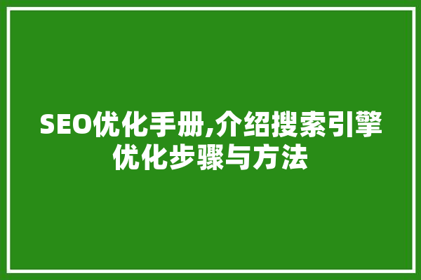 SEO优化手册,介绍搜索引擎优化步骤与方法
