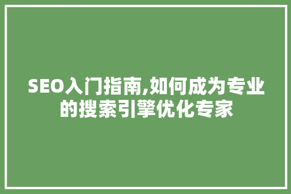 SEO入门指南,如何成为专业的搜索引擎优化专家 计算机