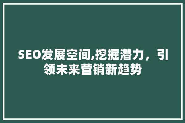 SEO发展空间,挖掘潜力，引领未来营销新趋势