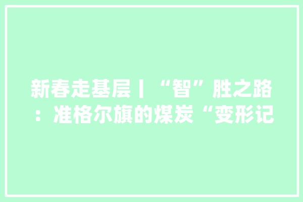 新春走基层丨“智”胜之路：准格尔旗的煤炭“变形记”_聪明_准格尔旗 计算机
