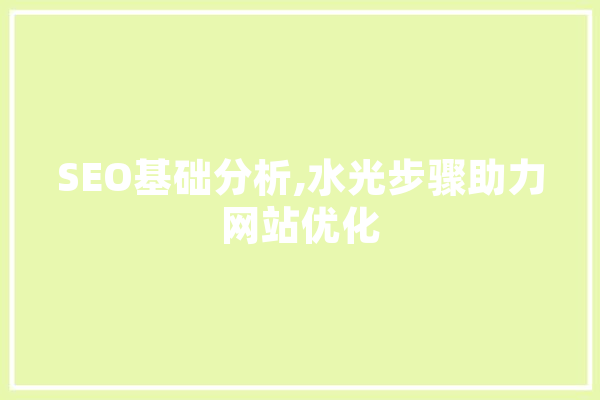 SEO基础分析,水光步骤助力网站优化