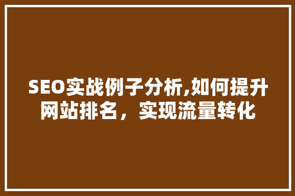 SEO实战例子分析,如何提升网站排名，实现流量转化