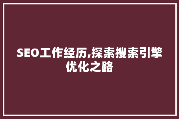 SEO工作经历,探索搜索引擎优化之路 计算机
