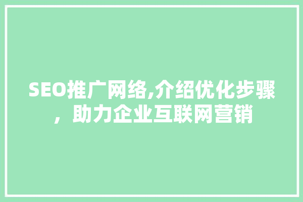 SEO推广网络,介绍优化步骤，助力企业互联网营销 智能助手