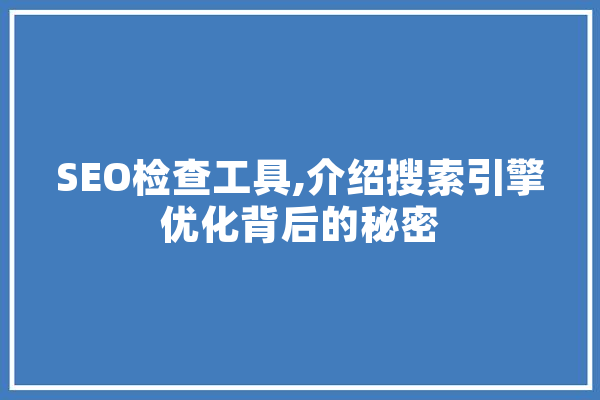 SEO检查工具,介绍搜索引擎优化背后的秘密
