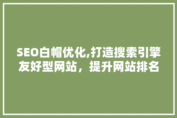SEO白帽优化,打造搜索引擎友好型网站，提升网站排名与用户体验