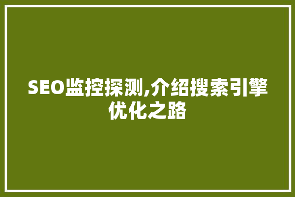 SEO监控探测,介绍搜索引擎优化之路 AI简讯