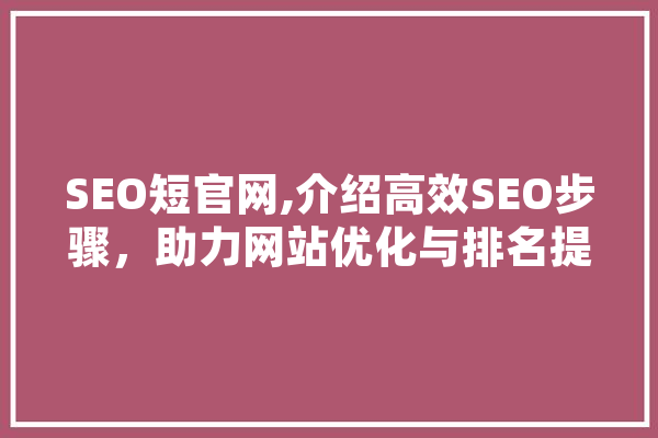SEO短官网,介绍高效SEO步骤，助力网站优化与排名提升