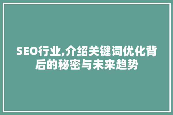 SEO行业,介绍关键词优化背后的秘密与未来趋势 文字写作
