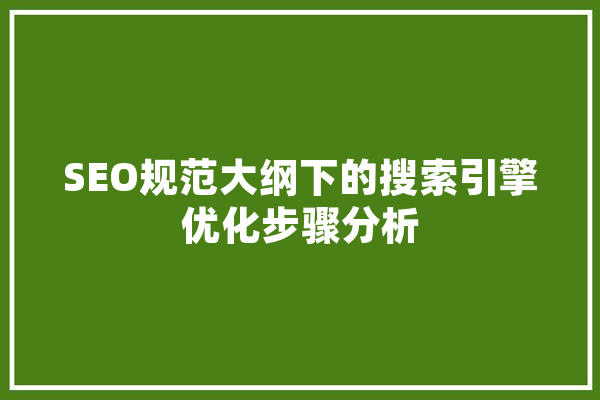 SEO规范大纲下的搜索引擎优化步骤分析