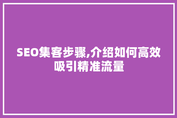 SEO集客步骤,介绍如何高效吸引精准流量 智能写作