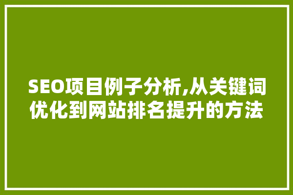SEO项目例子分析,从关键词优化到网站排名提升的方法之路 AI快讯