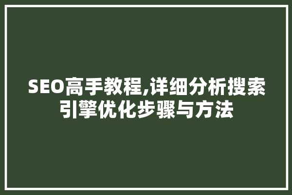 SEO高手教程,详细分析搜索引擎优化步骤与方法