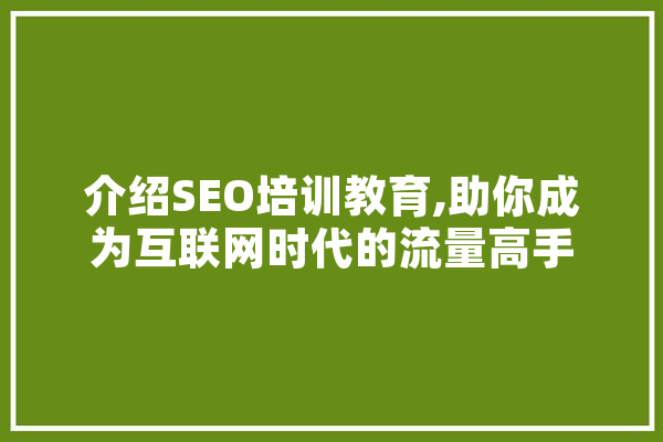 介绍SEO培训教育,助你成为互联网时代的流量高手