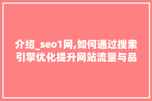 介绍_seo1网,如何通过搜索引擎优化提升网站流量与品牌影响力