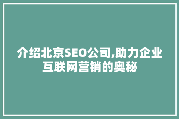 介绍北京SEO公司,助力企业互联网营销的奥秘