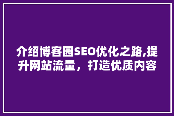 介绍博客园SEO优化之路,提升网站流量，打造优质内容