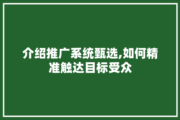 介绍推广系统甄选,如何精准触达目标受众