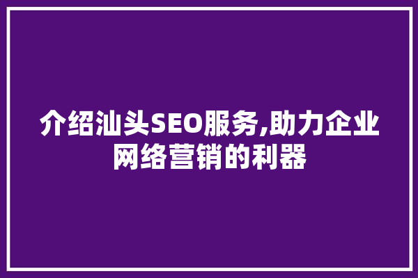 介绍汕头SEO服务,助力企业网络营销的利器