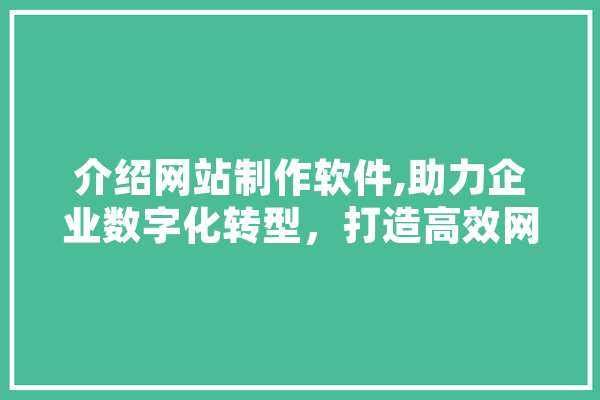 介绍网站制作软件,助力企业数字化转型，打造高效网络平台
