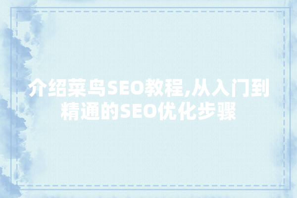介绍菜鸟SEO教程,从入门到精通的SEO优化步骤