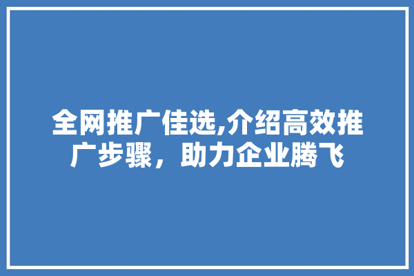 全网推广佳选,介绍高效推广步骤，助力企业腾飞 文字写作