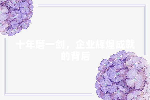 十年磨一剑，企业辉煌成就的背后