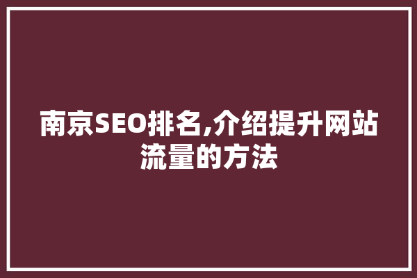 南京SEO排名,介绍提升网站流量的方法 智能助手