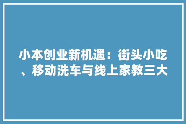 小本创业新机遇：街头小吃、移动洗车与线上家教三大年夜行业深度解析_洗车_线上