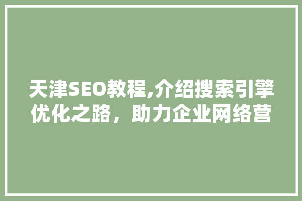 天津SEO教程,介绍搜索引擎优化之路，助力企业网络营销