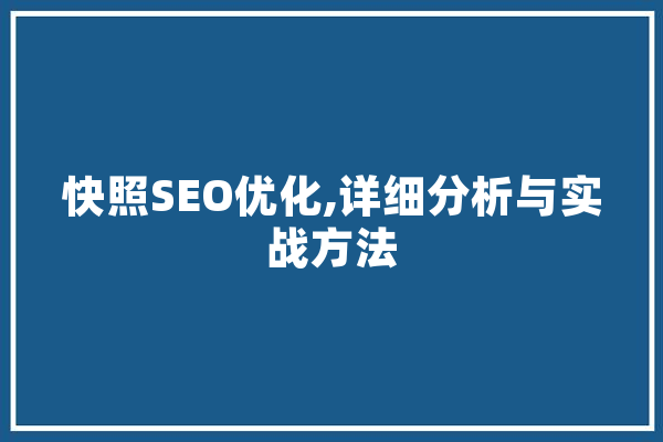 快照SEO优化,详细分析与实战方法
