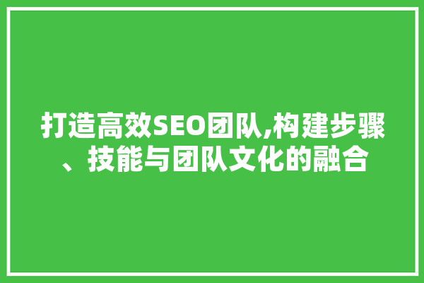 打造高效SEO团队,构建步骤、技能与团队文化的融合