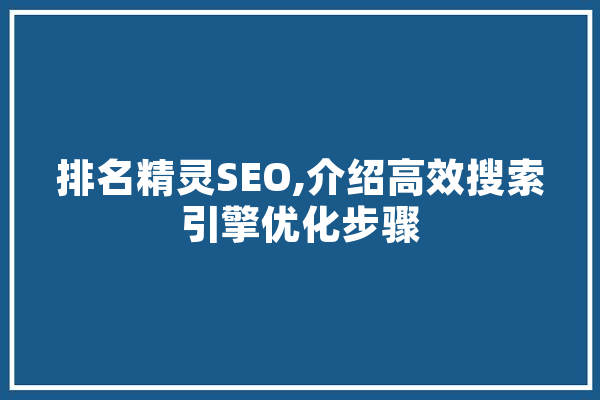 排名精灵SEO,介绍高效搜索引擎优化步骤 智能写作
