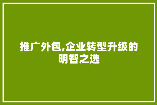 推广外包,企业转型升级的明智之选