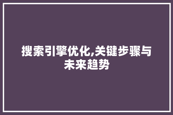 搜索引擎优化,关键步骤与未来趋势