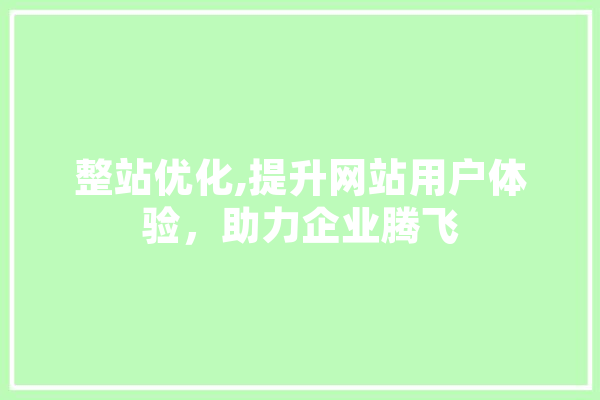 整站优化,提升网站用户体验，助力企业腾飞