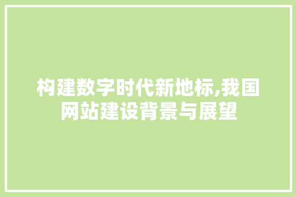 构建数字时代新地标,我国网站建设背景与展望