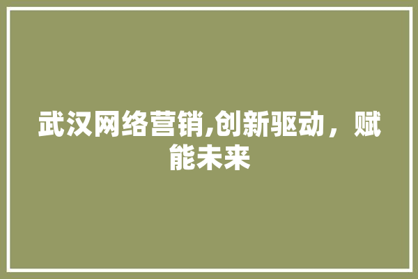武汉网络营销,创新驱动，赋能未来 文字写作
