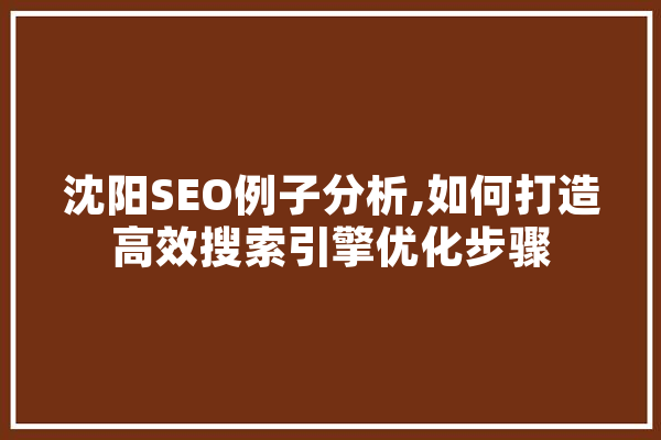 沈阳SEO例子分析,如何打造高效搜索引擎优化步骤