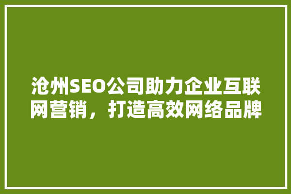沧州SEO公司助力企业互联网营销，打造高效网络品牌形象