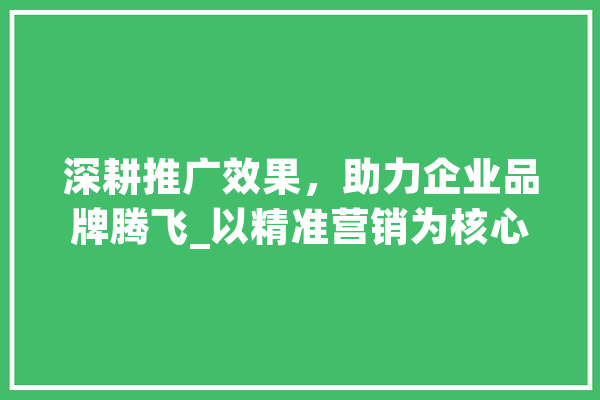 深耕推广效果，助力企业品牌腾飞_以精准营销为核心步骤