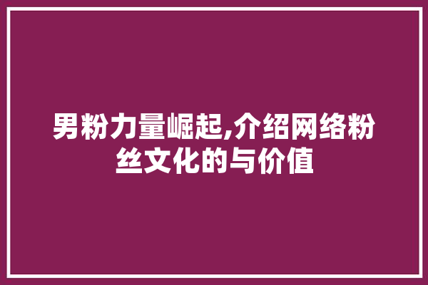 男粉力量崛起,介绍网络粉丝文化的与价值 智能助手