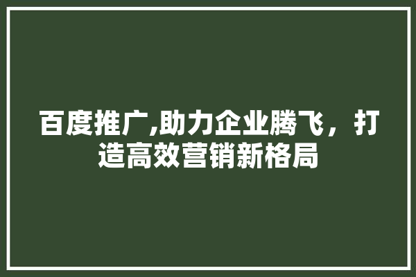 百度推广,助力企业腾飞，打造高效营销新格局