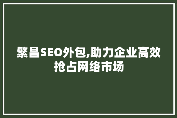 繁昌SEO外包,助力企业高效抢占网络市场