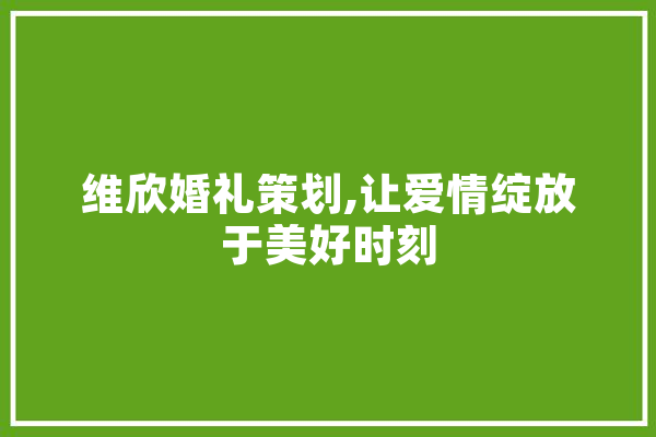 维欣婚礼策划,让爱情绽放于美好时刻